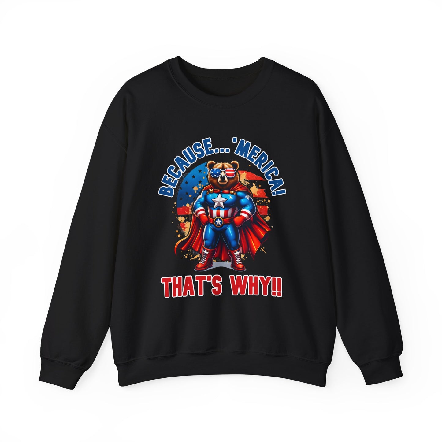 Because 'Merica! That's Why!! #2 Sweatshirt