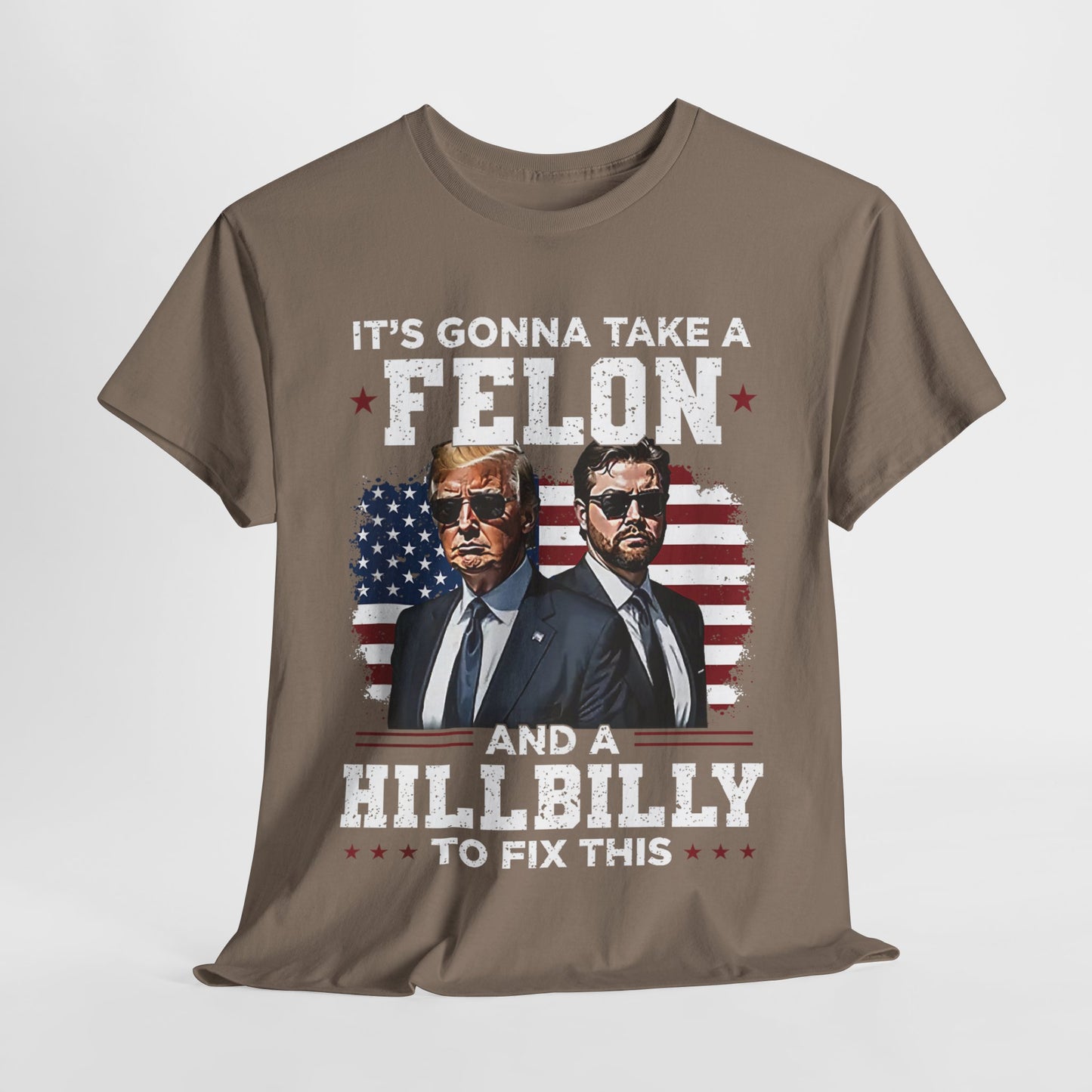 Donald Trump and JD Vance - A Felon and a Hillbilly T-Shirt