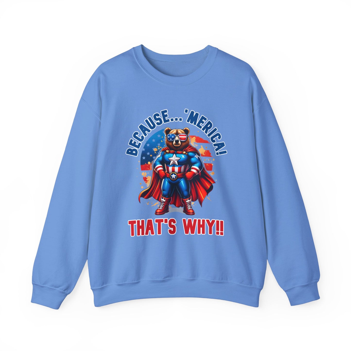 Because 'Merica! That's Why!! #2 Sweatshirt