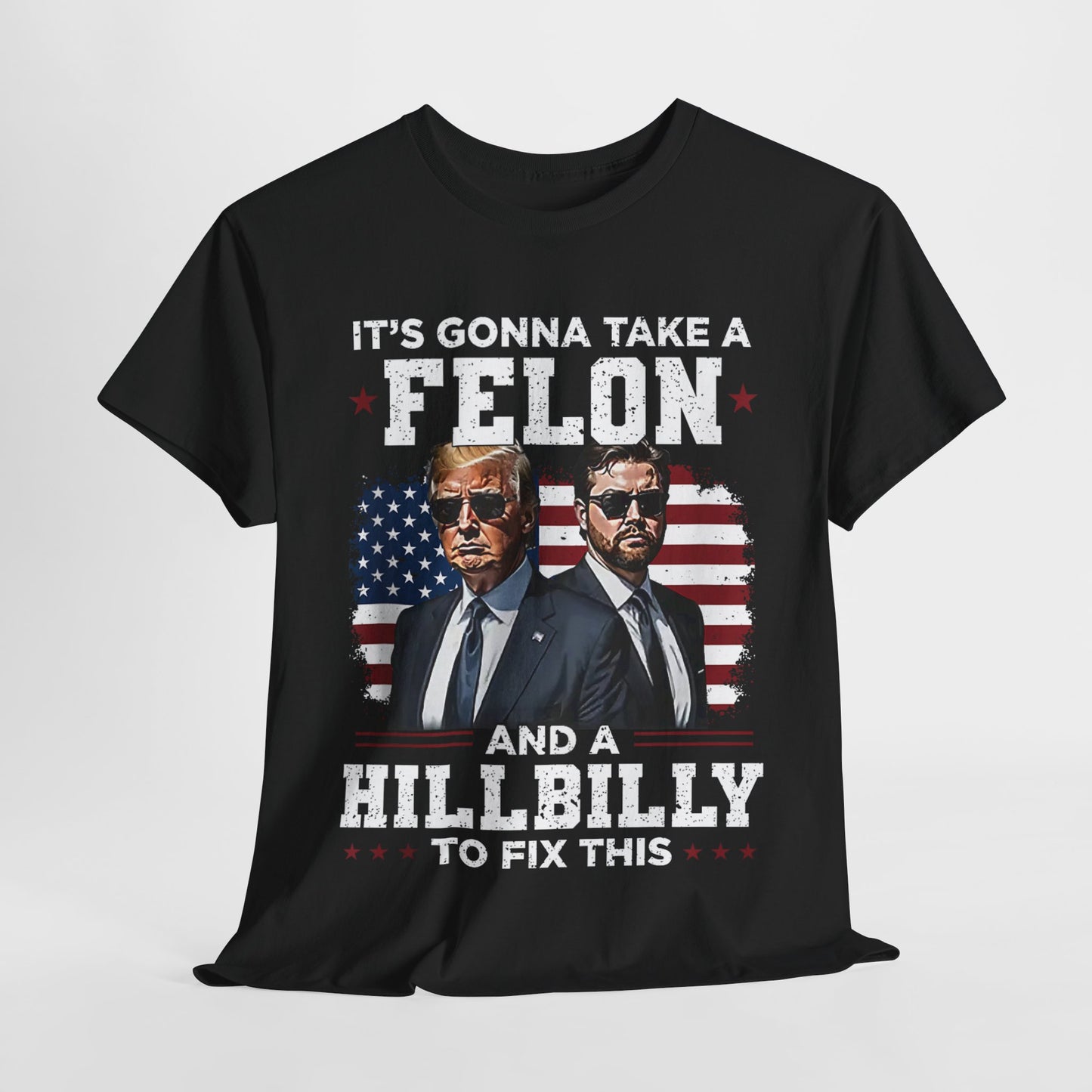 Donald Trump and JD Vance - A Felon and a Hillbilly T-Shirt