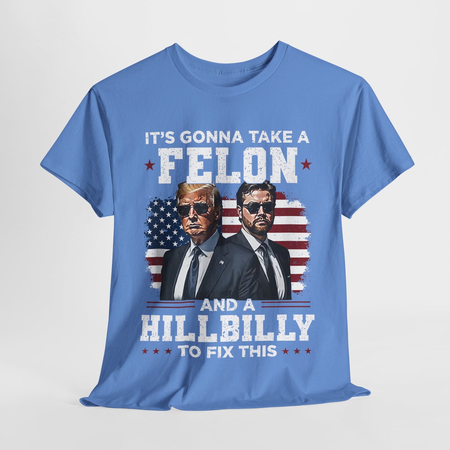 Donald Trump and JD Vance - A Felon and a Hillbilly T-Shirt