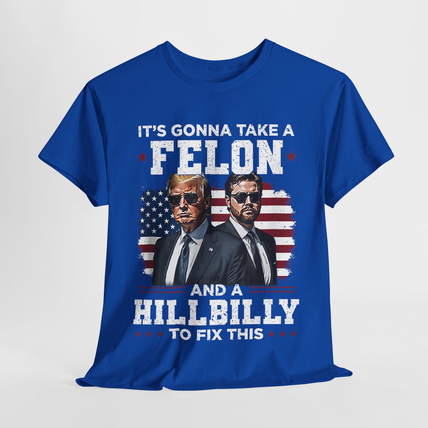 Donald Trump and JD Vance - A Felon and a Hillbilly T-Shirt