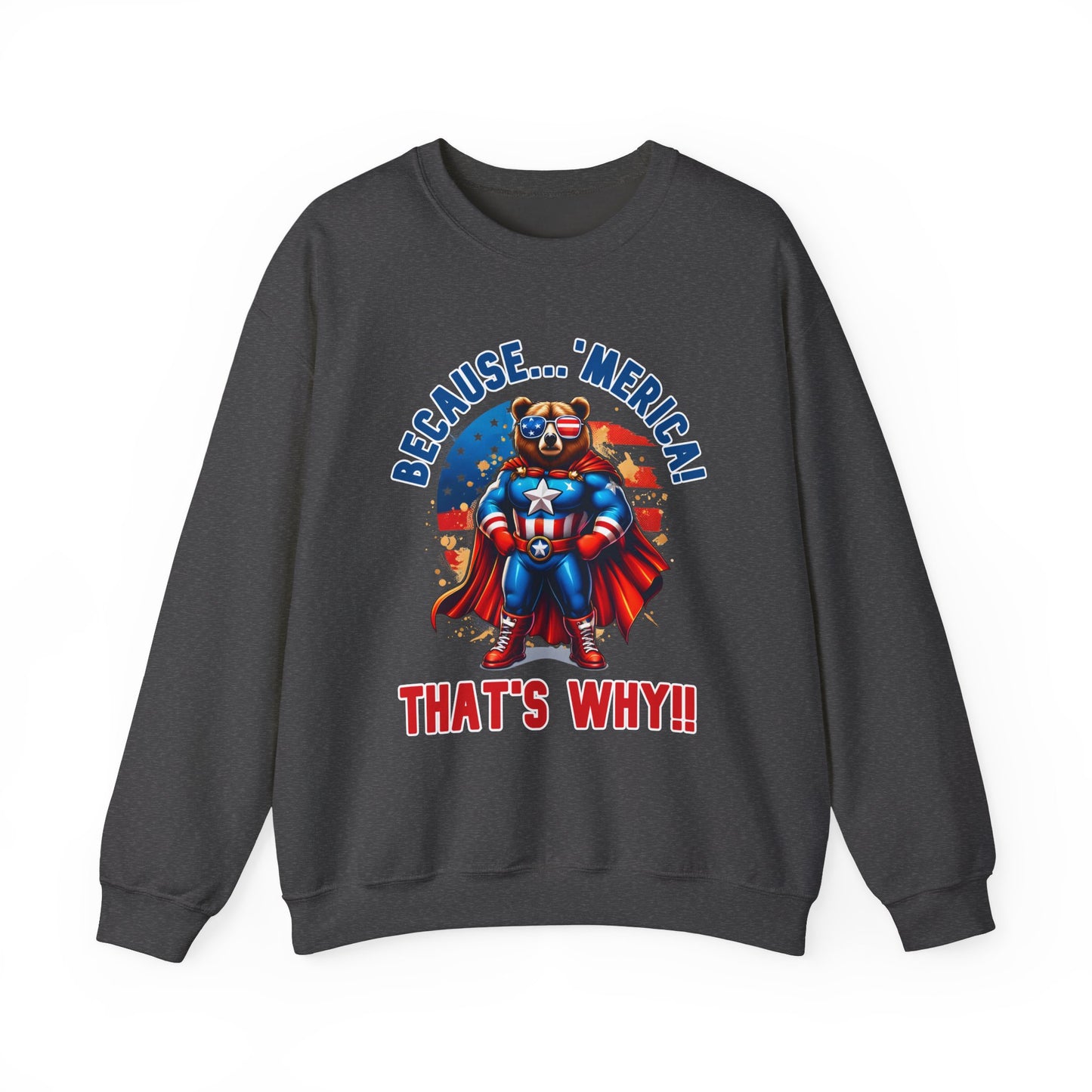 Because 'Merica! That's Why!! #2 Sweatshirt