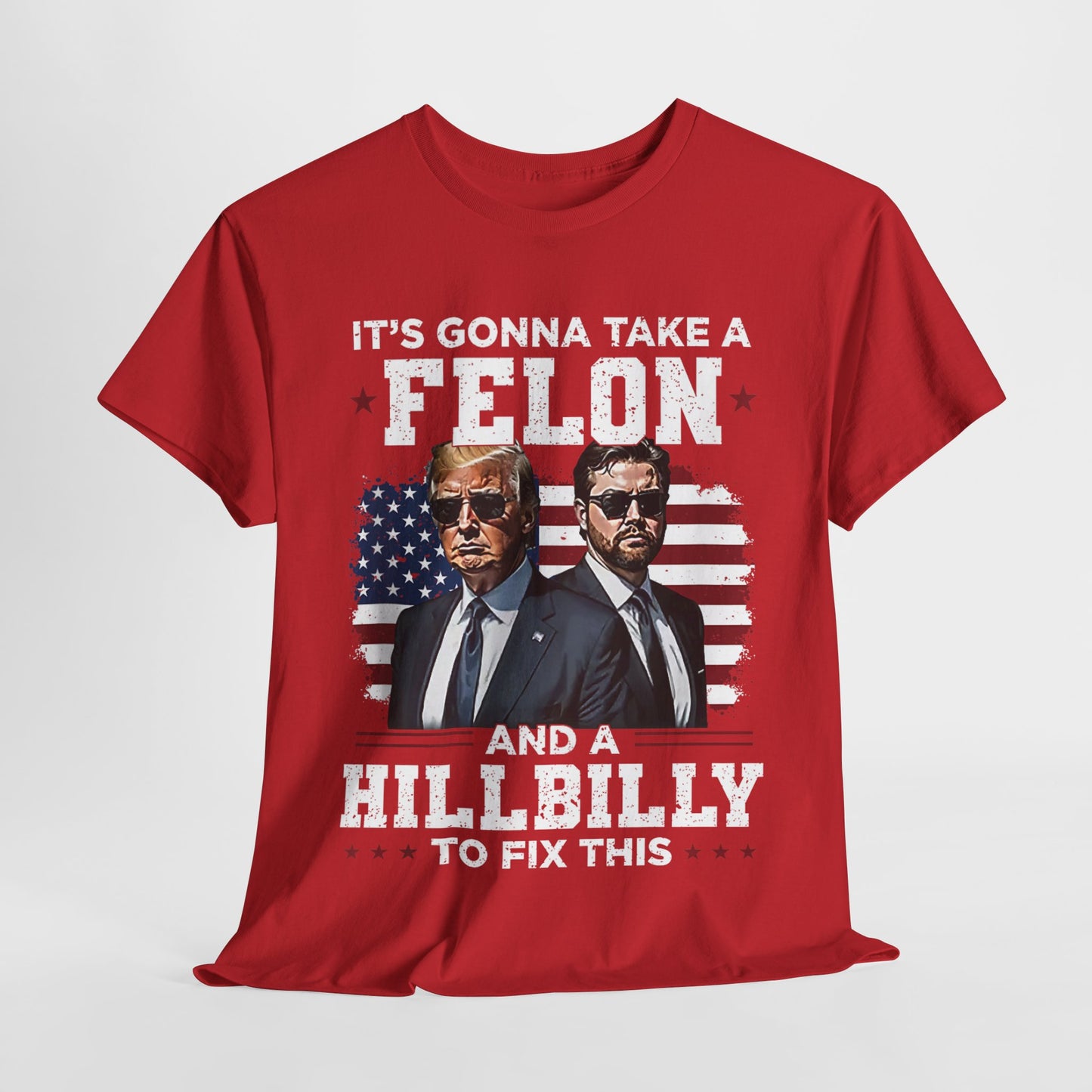 Donald Trump and JD Vance - A Felon and a Hillbilly T-Shirt