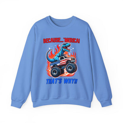 Because 'Merica! That's Why!! #1 Sweatshirt
