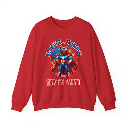 Because 'Merica! That's Why!! #2 Sweatshirt