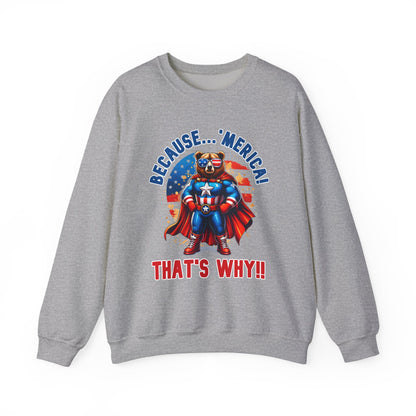 Because 'Merica! That's Why!! #2 Sweatshirt