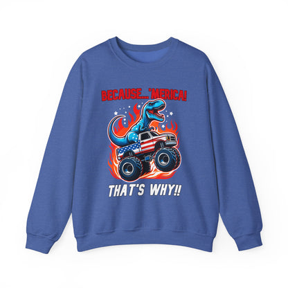 Because 'Merica! That's Why!! #1 Sweatshirt