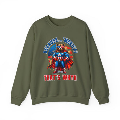 Because 'Merica! That's Why!! #2 Sweatshirt